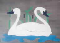Swans
