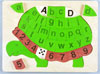 Turtle Jigsaw Puzzle