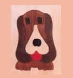 Basset Hound
