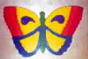 Butterfly Puzzle - Picture